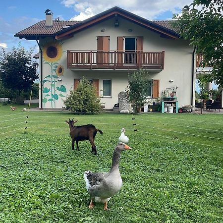 Agriturismo Girasole 파이델라파가넬라 외부 사진